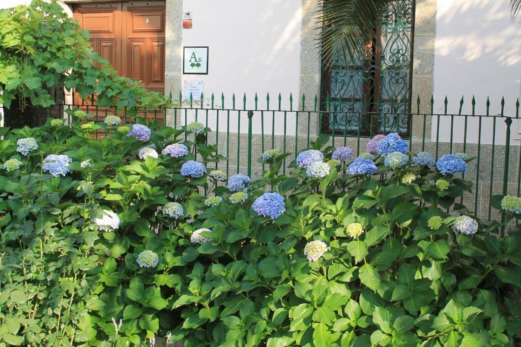 Appartement Casa Jardin De La Plata à Banos De Montemayor Extérieur photo